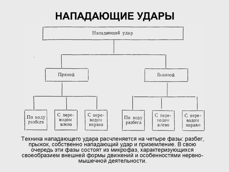 Шаблон №1175